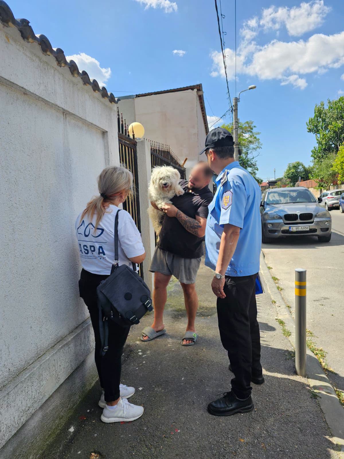 Nerespectarea obligației de sterilizare și microcipare poate atrage amenzi de până la 10.000 de lei
