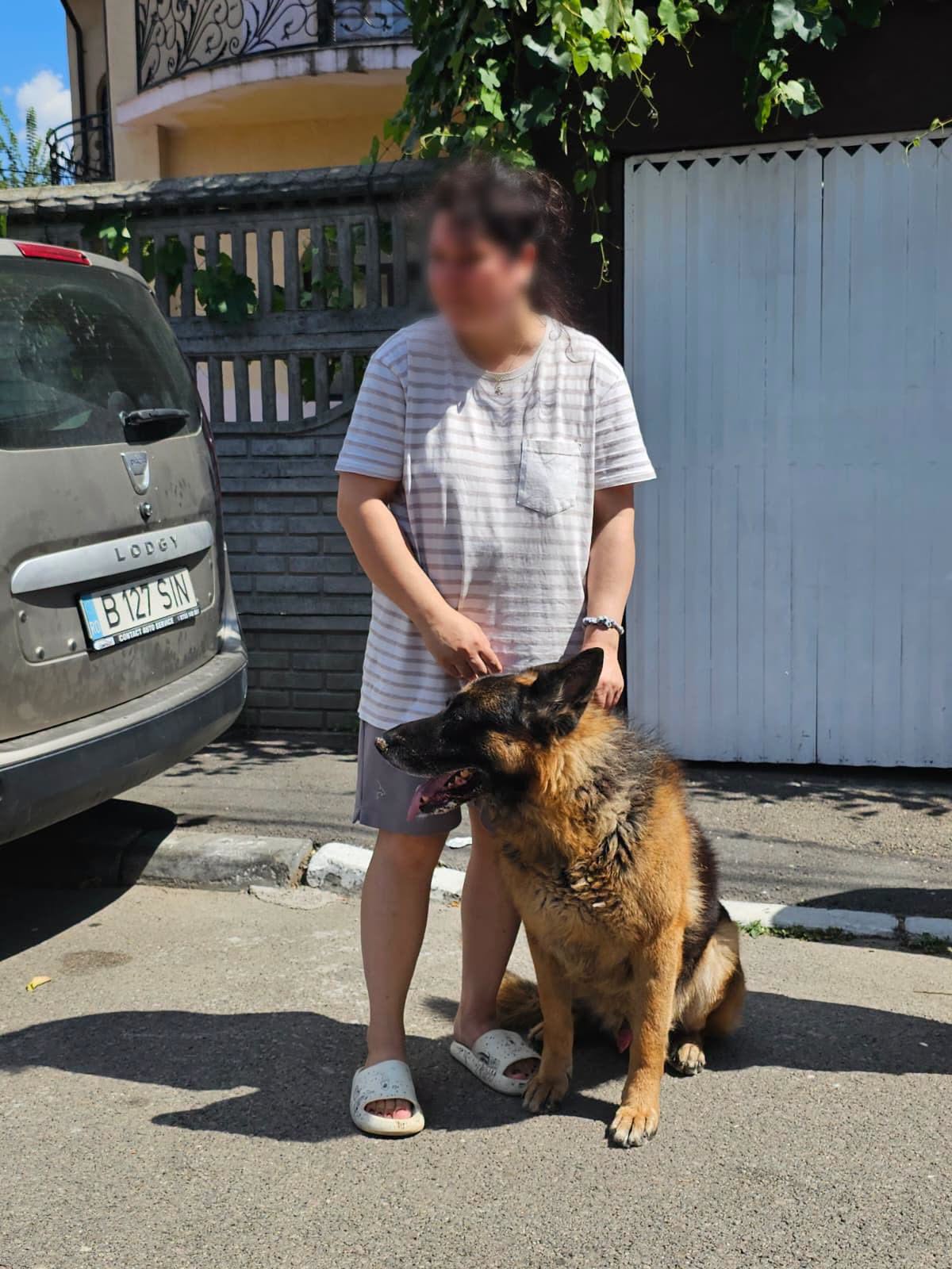 A crescut numărul cățeilor sterilizați