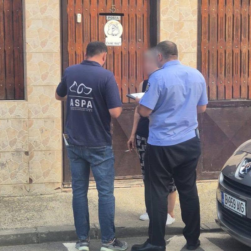 Soluția pentru stoparea înmulțirii necontrolate a câinilor: sterilizarea și microciparea.